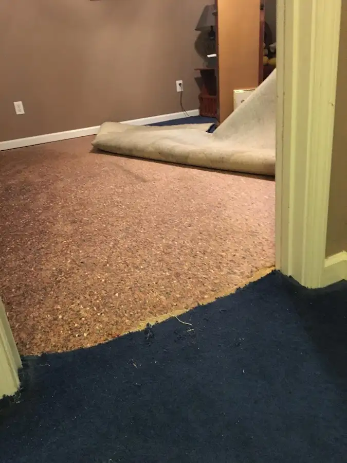 Carpet pad removal revealing water damage during Water Mitigation Services in Horsham